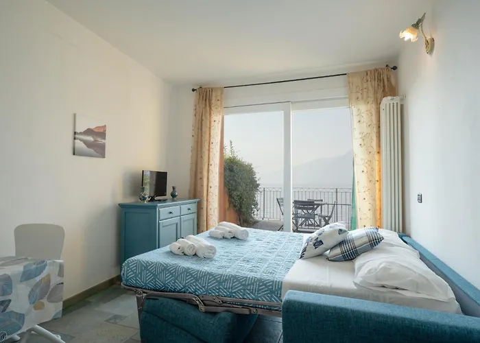 Il Glicine Sul - Wisteria On The *