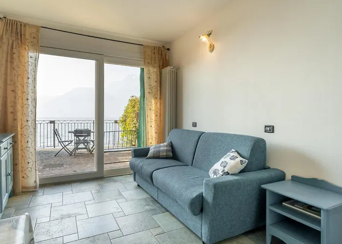 Il Glicine Sul - Wisteria On The *