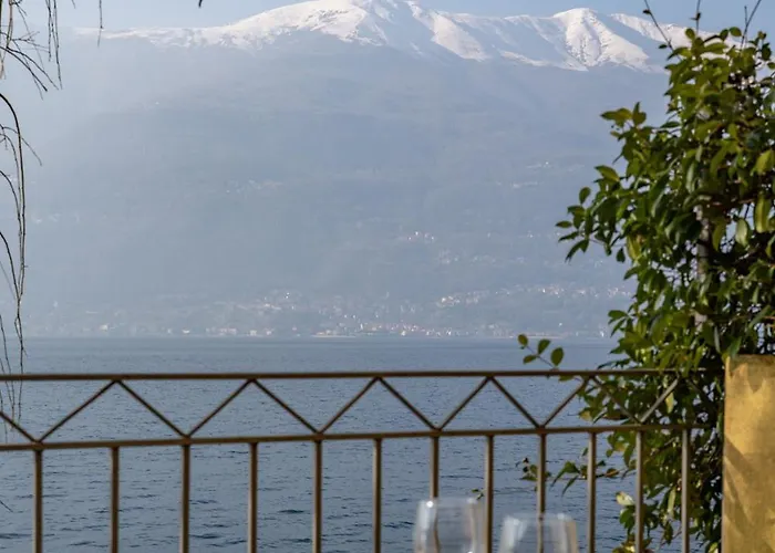 Il Glicine Sul - Wisteria On The * 贝拉诺