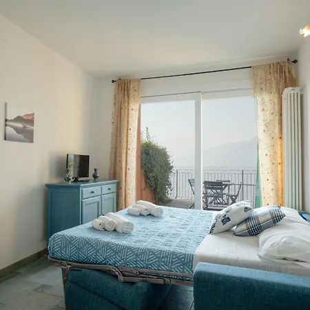 Il Glicine Sul - Wisteria On The *